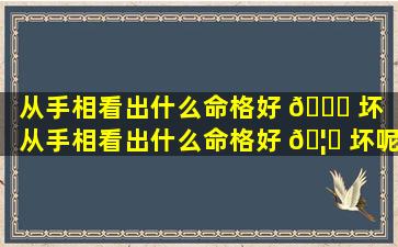 从手相看出什么命格好 🐕 坏（从手相看出什么命格好 🦁 坏呢）